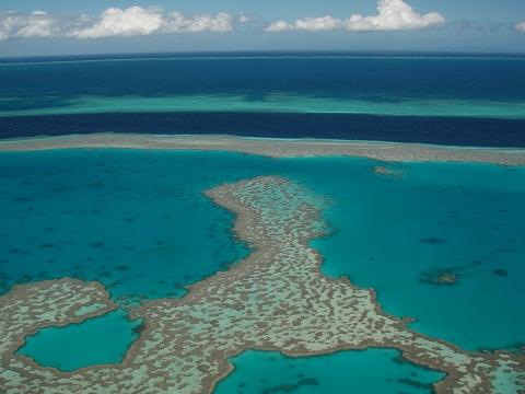 Great Barrier Reef- This photo is an aerial view picture of the world’s largest reef system, located in Australia, taken by Cojigas during a helicopter ride. 