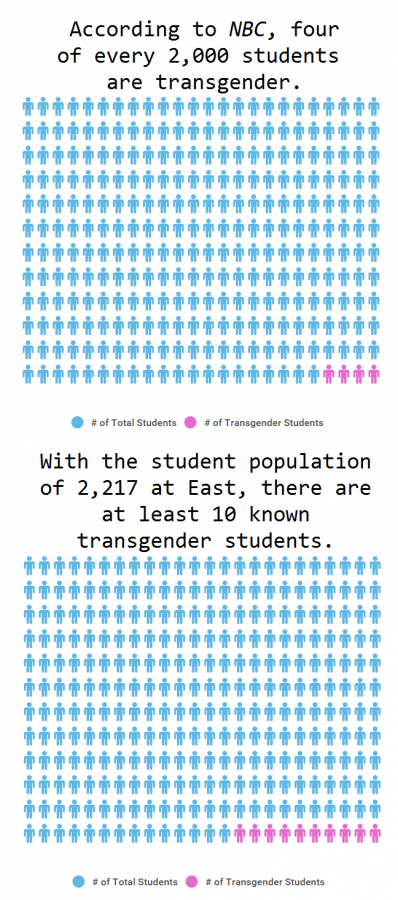 student population infographic