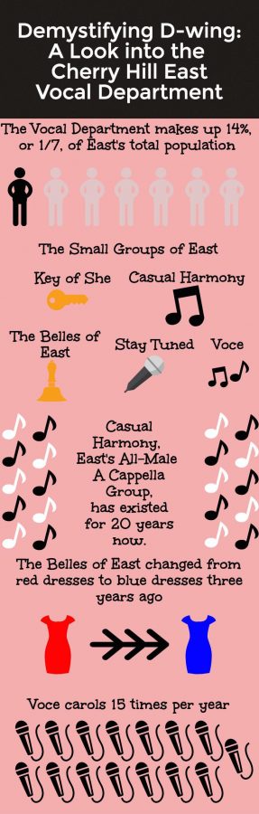 senior-vid-perspectives-infographic-1-vocal-3
